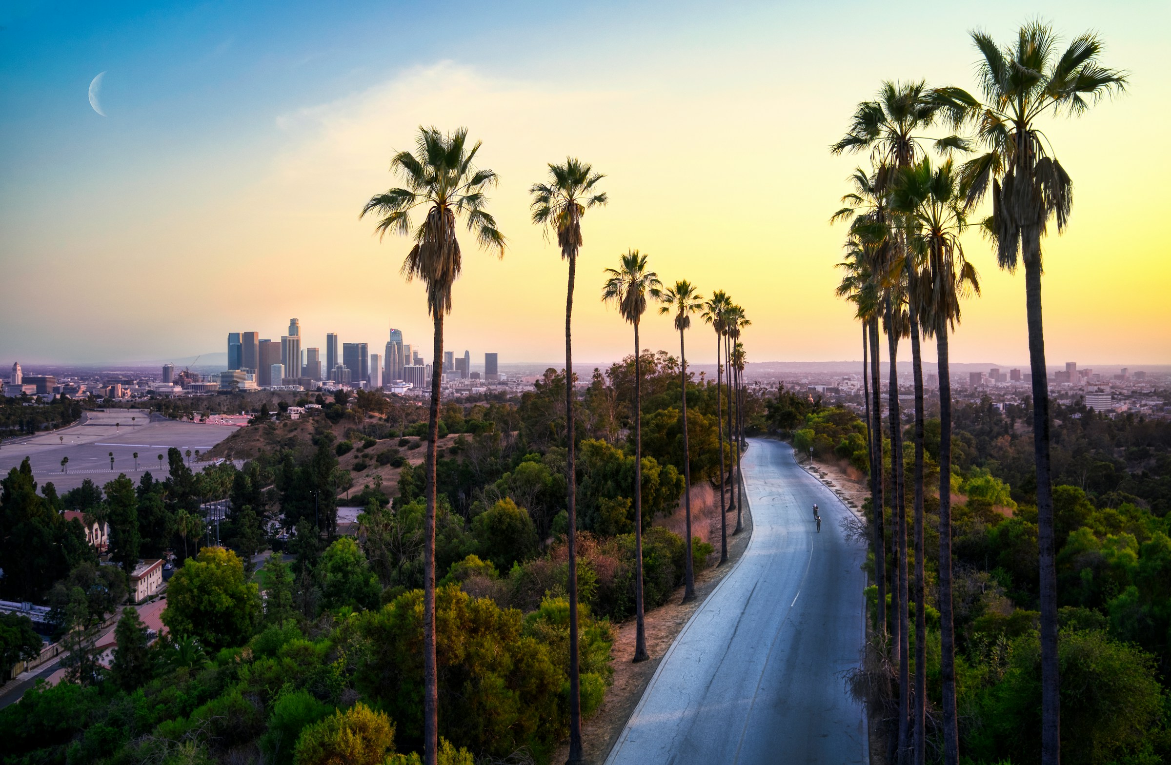 Palm trees and Los Angeles stretching toward the downtown skyline